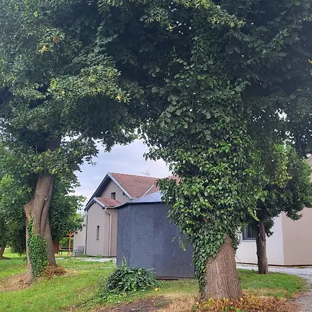 U Koleji A Apartment
